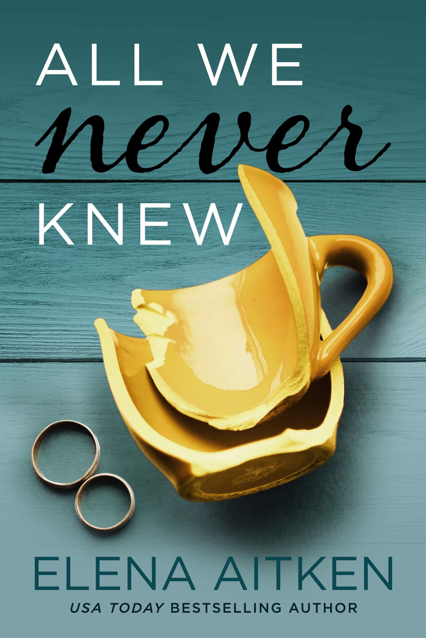 All We Never Knew: A Women's Fiction Novel