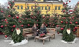 Review Image by Lisa H. Deason Lisa H. Deason