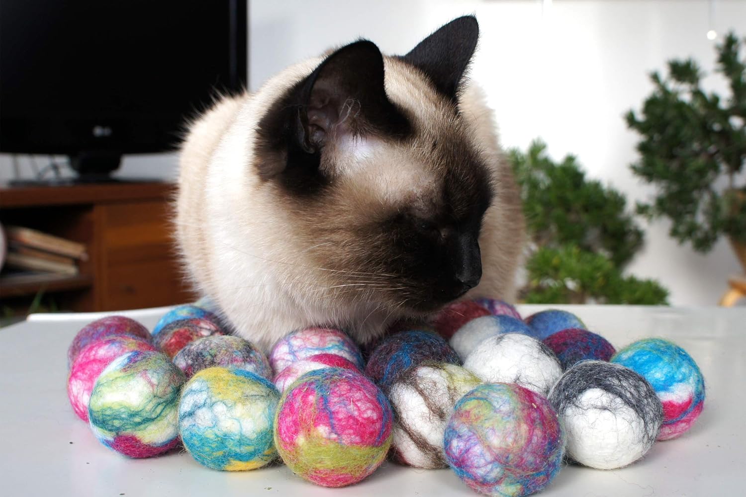 Kivikis Cat and Dog Interactive Toy. Wool Ball. Handmade. Natural Sheep Wool. Soft and Light. Also Have More Other uses. 20 Pieces.