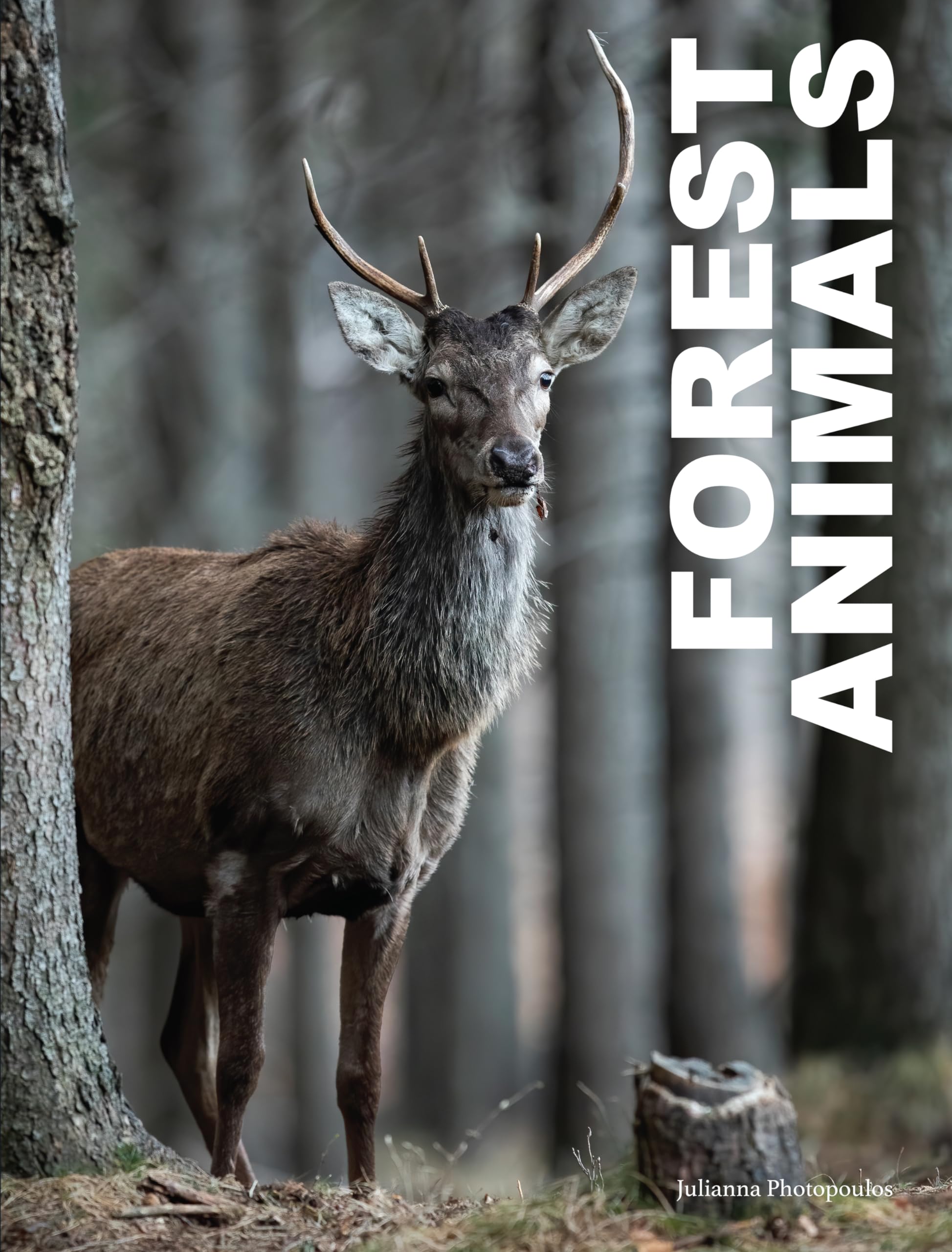 Forest Animals.by Photopoulos  New 9781838863654 Fast Free Shipping.#+,.#