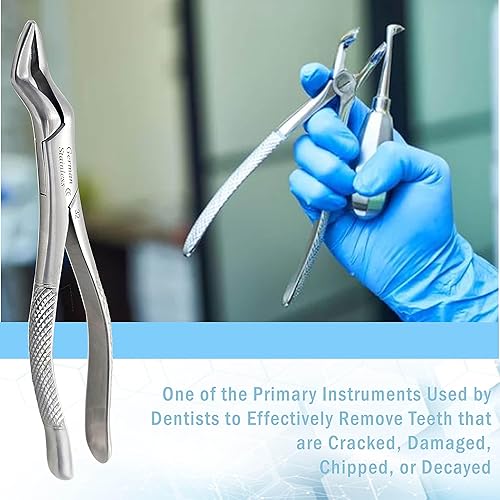 Miniatura 5 de Pinzas dentales alemanas para extracción dentada #32 Instrumentos dentales universales para cúspides superiores, bicúspides, molares y raíces. Hecho