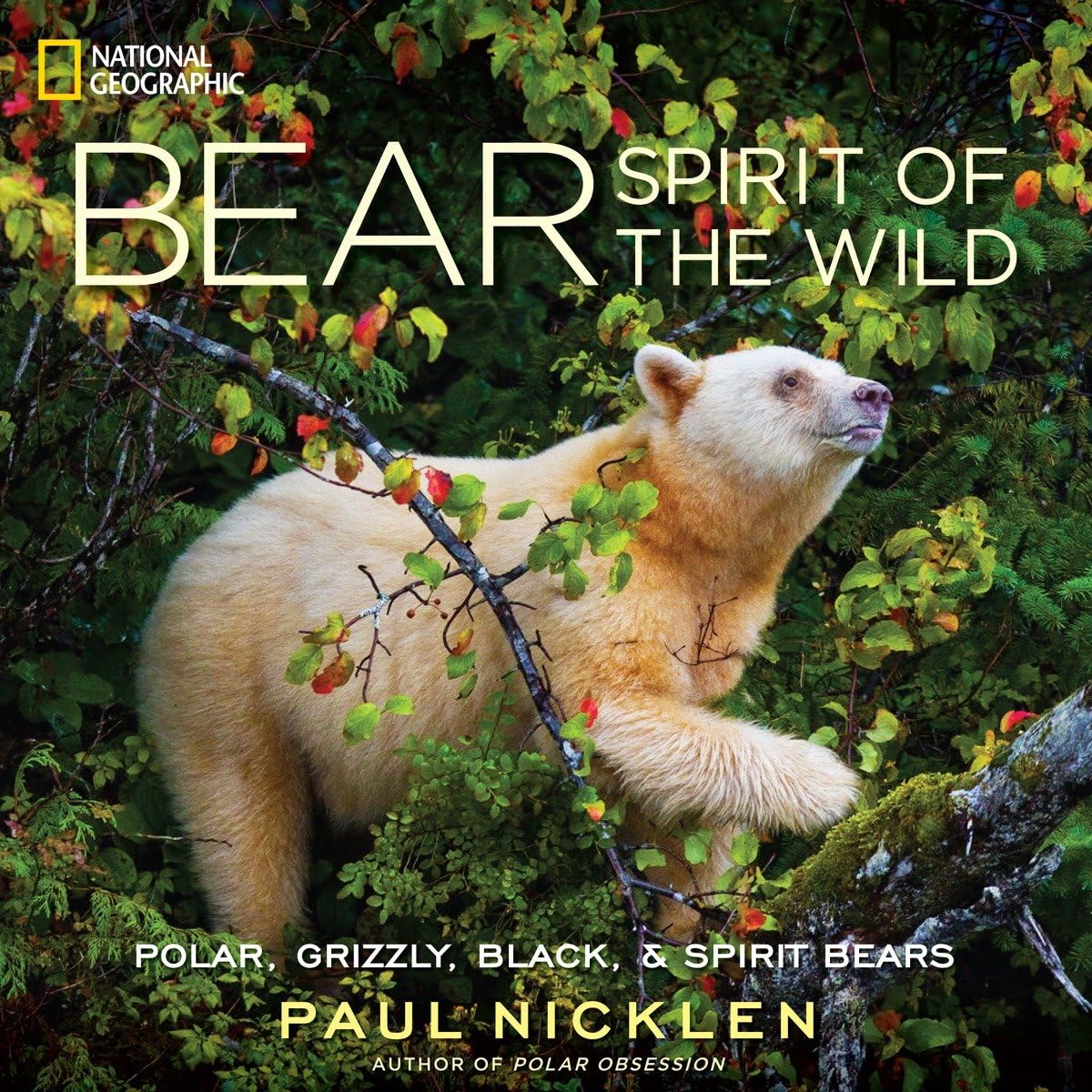 Bear: Spirit of the Wild Hardcover – Illustrated, 14 Oct. 2009