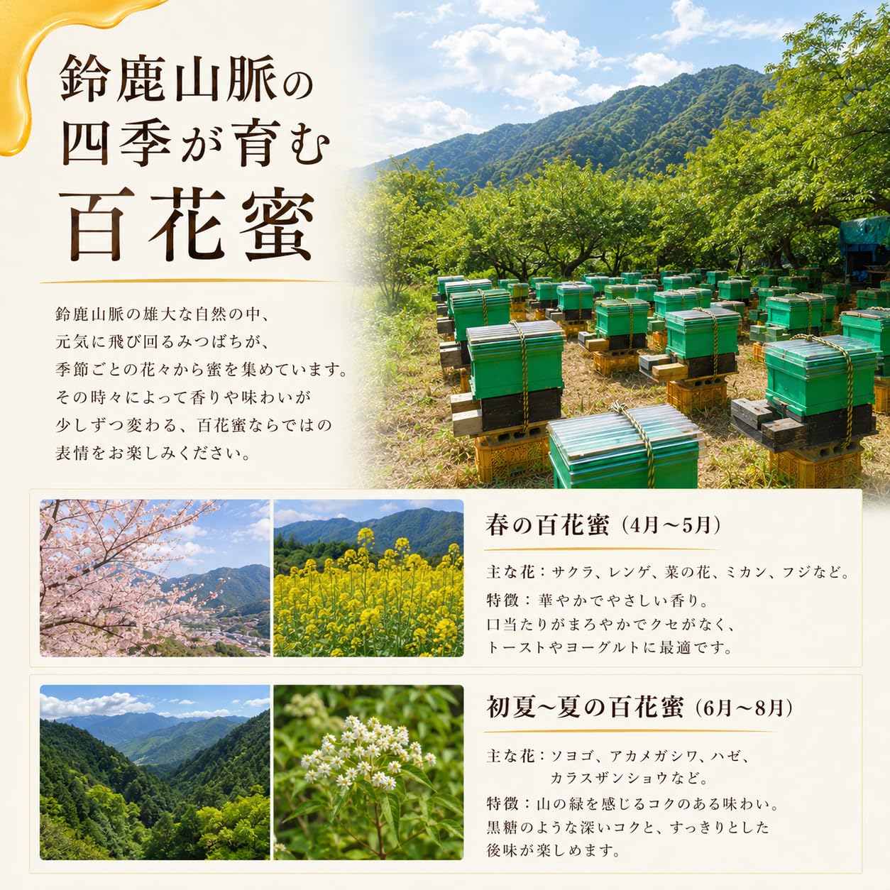 Amazon.co.jp: 七座の雫 国産 純粋 はちみつ 非加熱 生はちみつ 200g