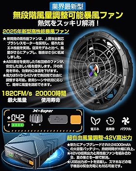 81cwvHdV5NL._AC_UF350,