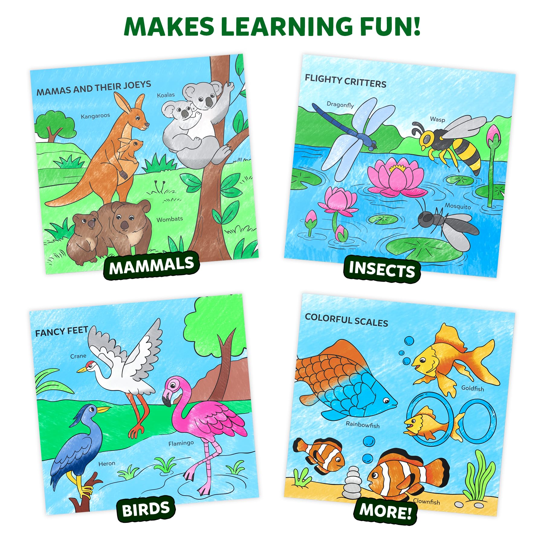 Skillmatics Colour & Learn Activity Book, Learn 160+ Animals, 12 Retractable Mess-Free Crayons & 50 Pages - Image 4