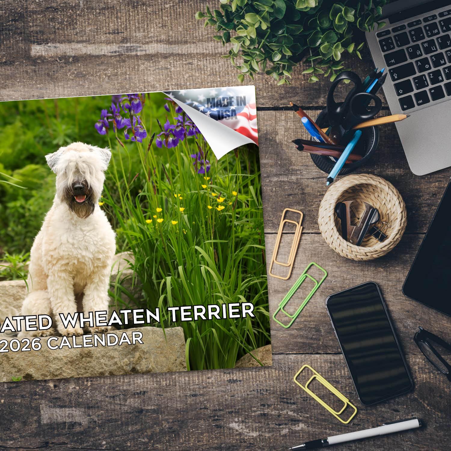 Kalendarz 2024 2025 Softcoat Wheaten Terrier - Miesięczny kalendarz ścienny rasy psów - 30 x 45 cm otwarty - gruby papier bez przebarwień - prezent - akademicki planer nauczyciela kalendarz