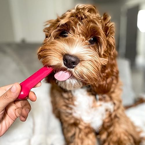 Miniatura 6 de Juguete Nylabone de masticar para perros con forma de hueso