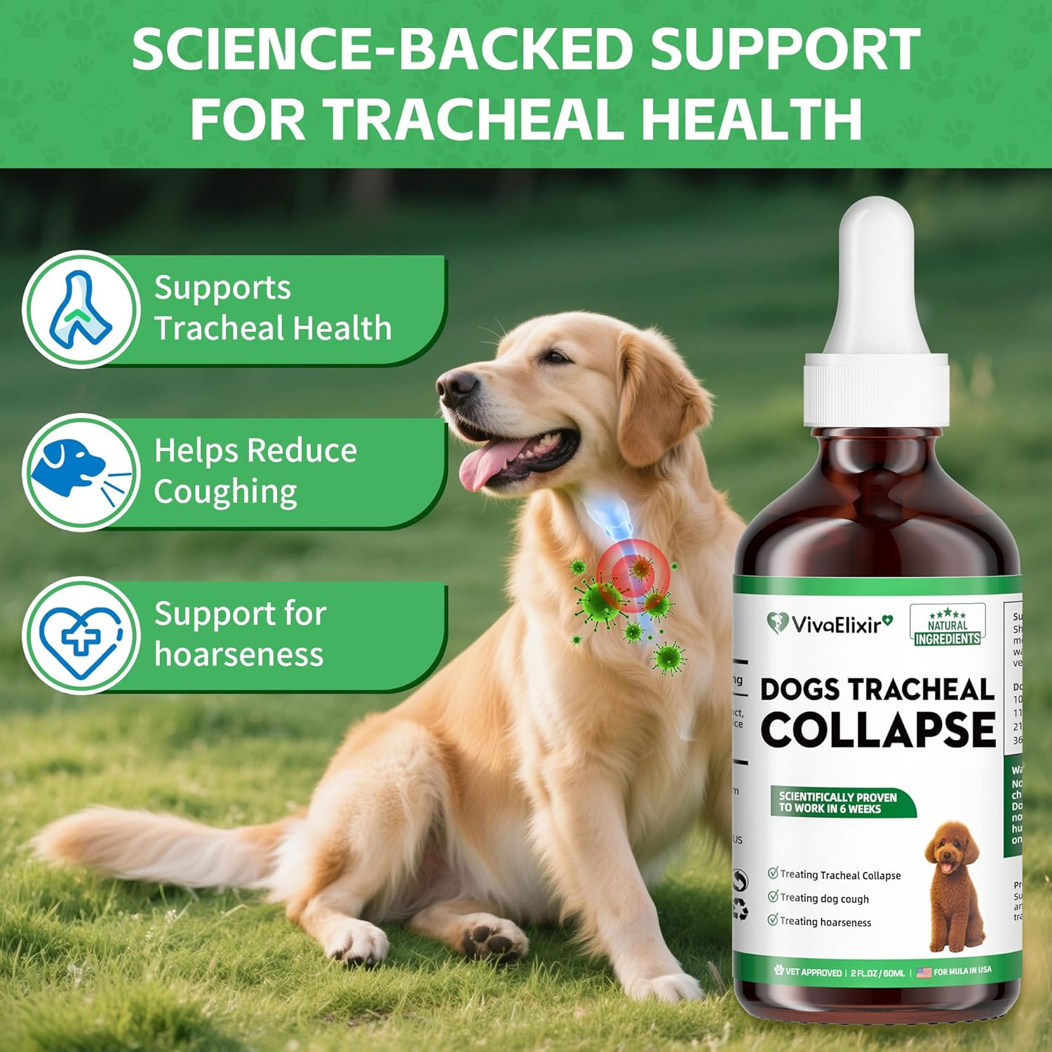 Dog Cough Treatment Liquid – Tracheal Collapse Support for Dogs – Herbal Drops with Slippery Elm, Mullein & Olive Leaf – Helps Soothe Throat, Calm Coughing & Support Breathing