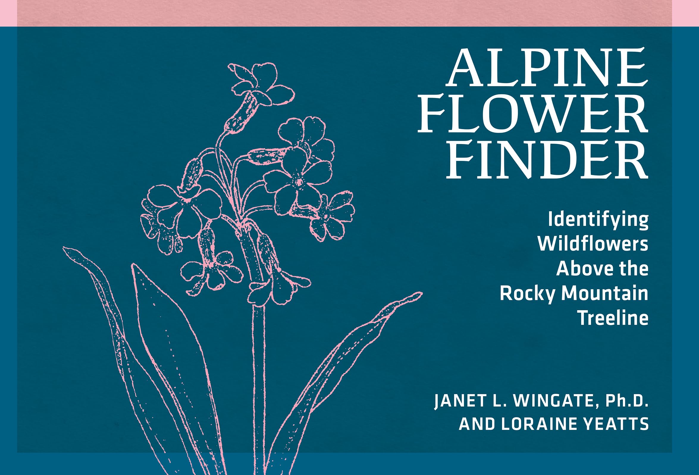 Alpine Flower Finder: Identifying Wildflowers Above the Rocky Mountain Treeline (Nature Study Guides)