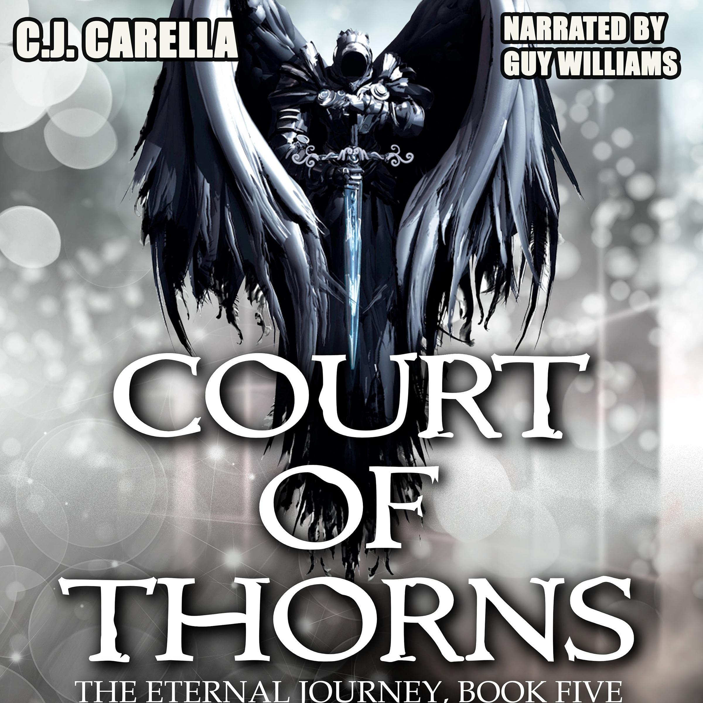 Cover art for Court of Thorns