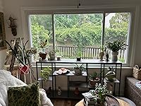 Review Image by Tena Tena