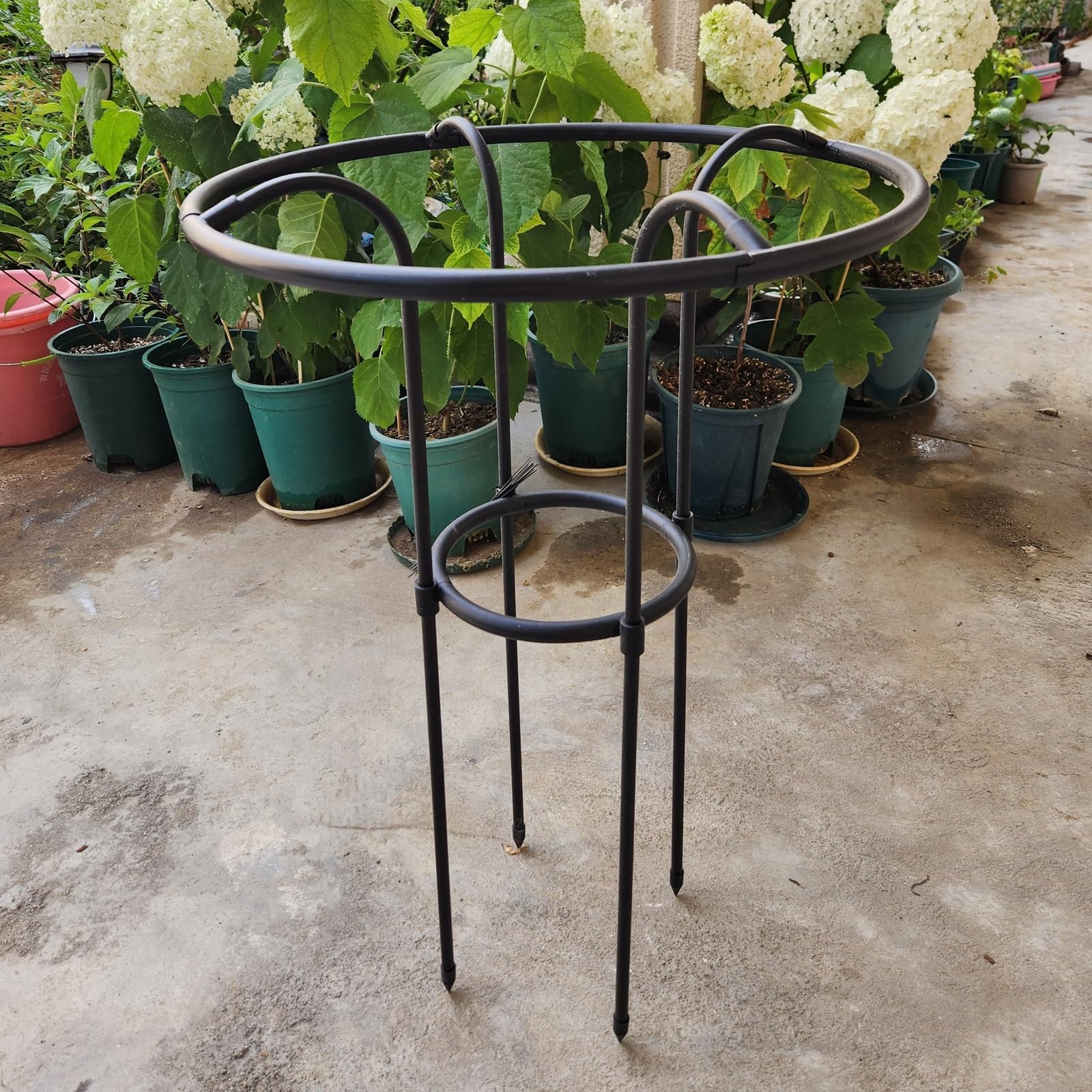LTSRLL Obélisque De Jardin en Métal 70/100/130/160 Cm Cages Tuteurs Ø 22 Cm Support pour Plantes Grimpantes(70cm/2.3ft)