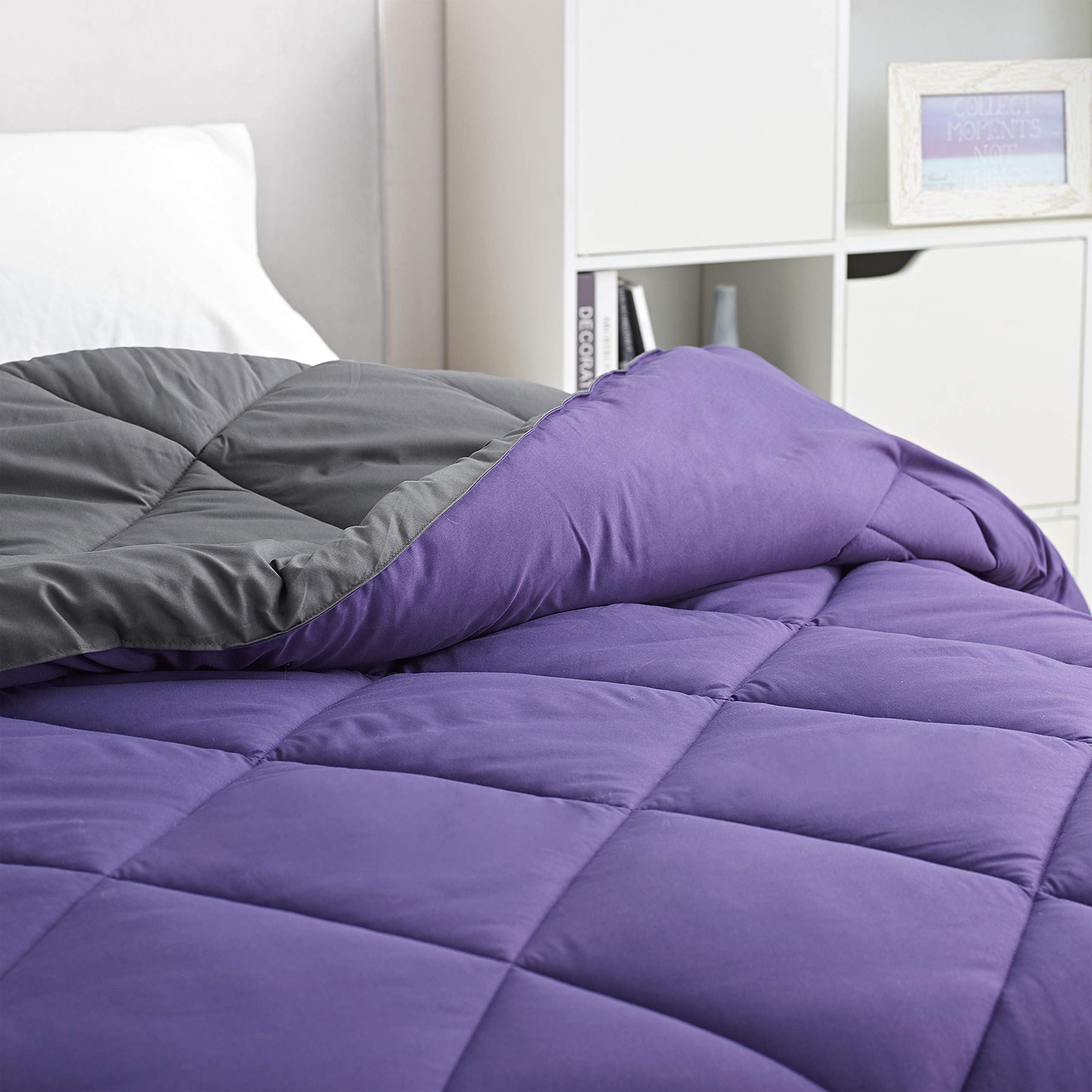 DormCo Purple Reign/Faded Black Twin Comforter - Oversized Twin XL Bedding