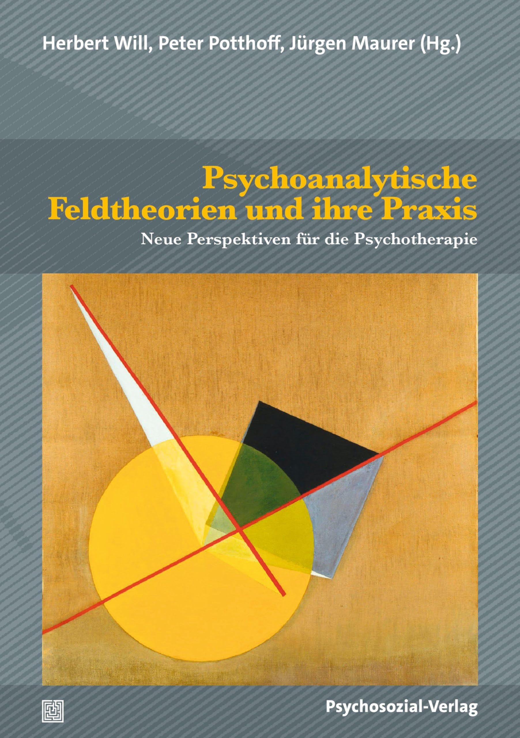 Psychoanalytische Feldtheorien und ihre Praxis: Neue Perspektiven für die Psychotherapie (Bibliothek der Psychoanalyse)