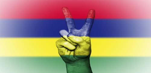 Radio Mauritius: Application de stations en ligne + musique FM AM à écouter gratuitement sur téléphone et tablette – vue 7