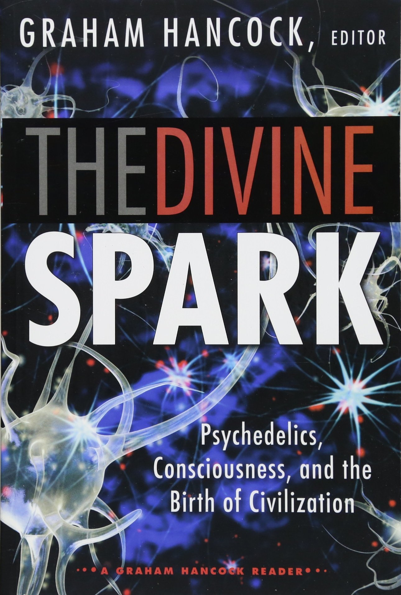 Divine Spark: a Graham Hancock Reader: Psychedelics, Consciousness, and the Birth of Civilization