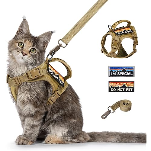 Tactical Cat Harness and Leash for Walking Esacpe Proof,Adjustable Soft Mesh Large Cat Vest with Rubber Handle Easy to Control,Molle Patches