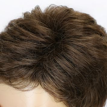 DDHAIR Mens Short Brown Wig for Men Natural Layered Fluffy Wig Daily Halloween Synthetic Realistic Hair Male Guys Wigs