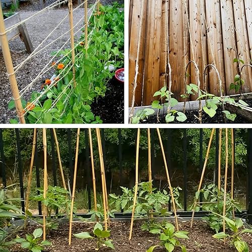 Miniatura 4 de Cambaverd Cuerda de yute natural de 200 pies, 0.118 in, 4 capas, cuerda para plantas trepadoras, jardinería, manualidades, regalos, envoltura,