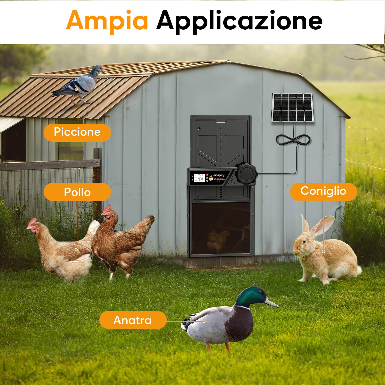 Aluminum Grande Porta Automatica Pollaio Solare, MASTERFUN Porta Pollaio Automatica con Display, Timer, Telecomando, Porta per Pollaio Automatica, Antipizzicamento, Impermeabile