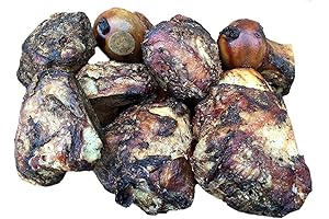 K9 Connoisseur Meaty Mammoth Bones for Large, Aggressive Chewers