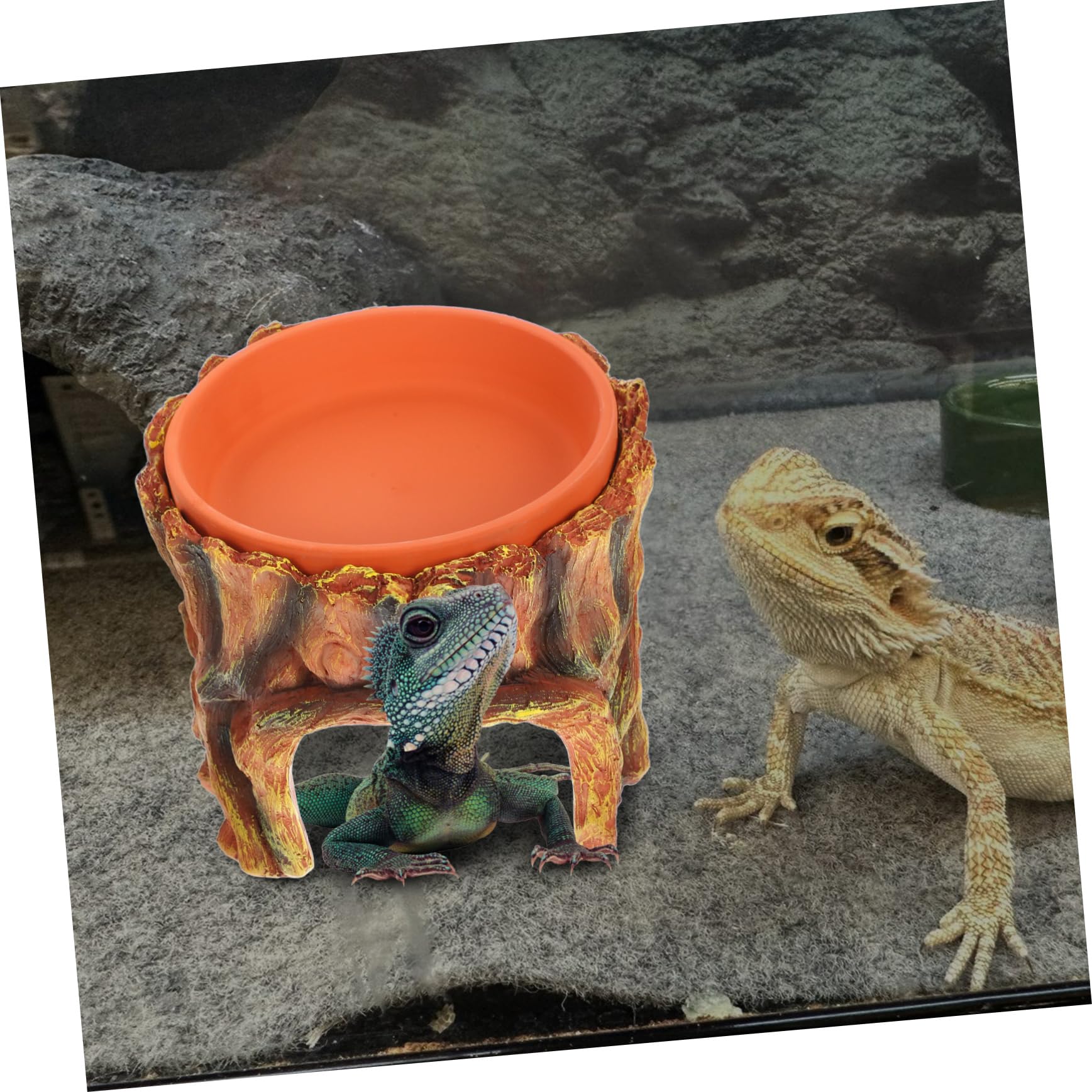 Per Rettili Per Gechi Leopardini e Decorativo Per Terrario Accessorio Per Acquari e Habitat Per Rettili e Facile Installare