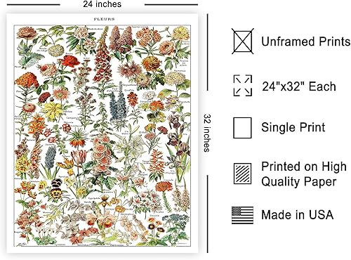 Miniatura 590 de Poster Master Póster vintage de orquídea, estampado de flores retro, arte de pared de plantas exóticas, arte botánico, regalo para hombres y