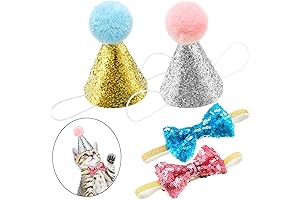 Adorable Pet Party Hat and Bowtie
