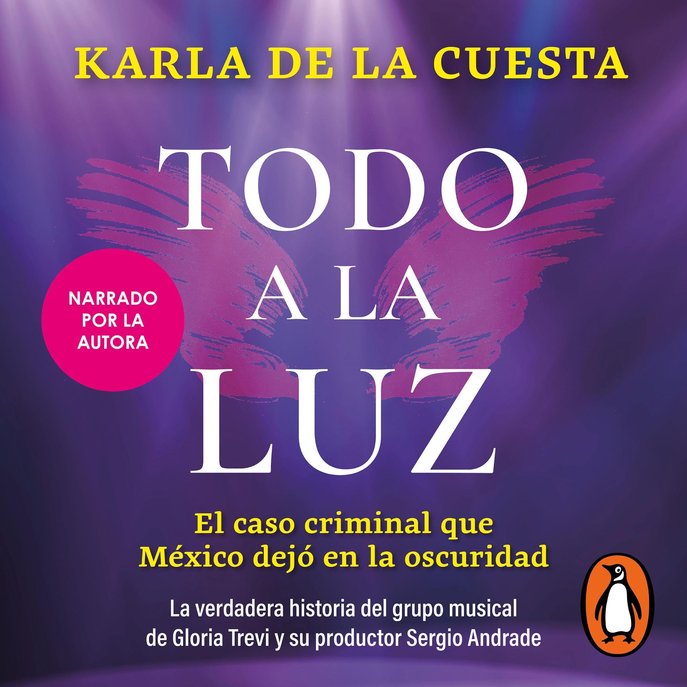 Cover art for Todo a la luz [Everything in the Light]