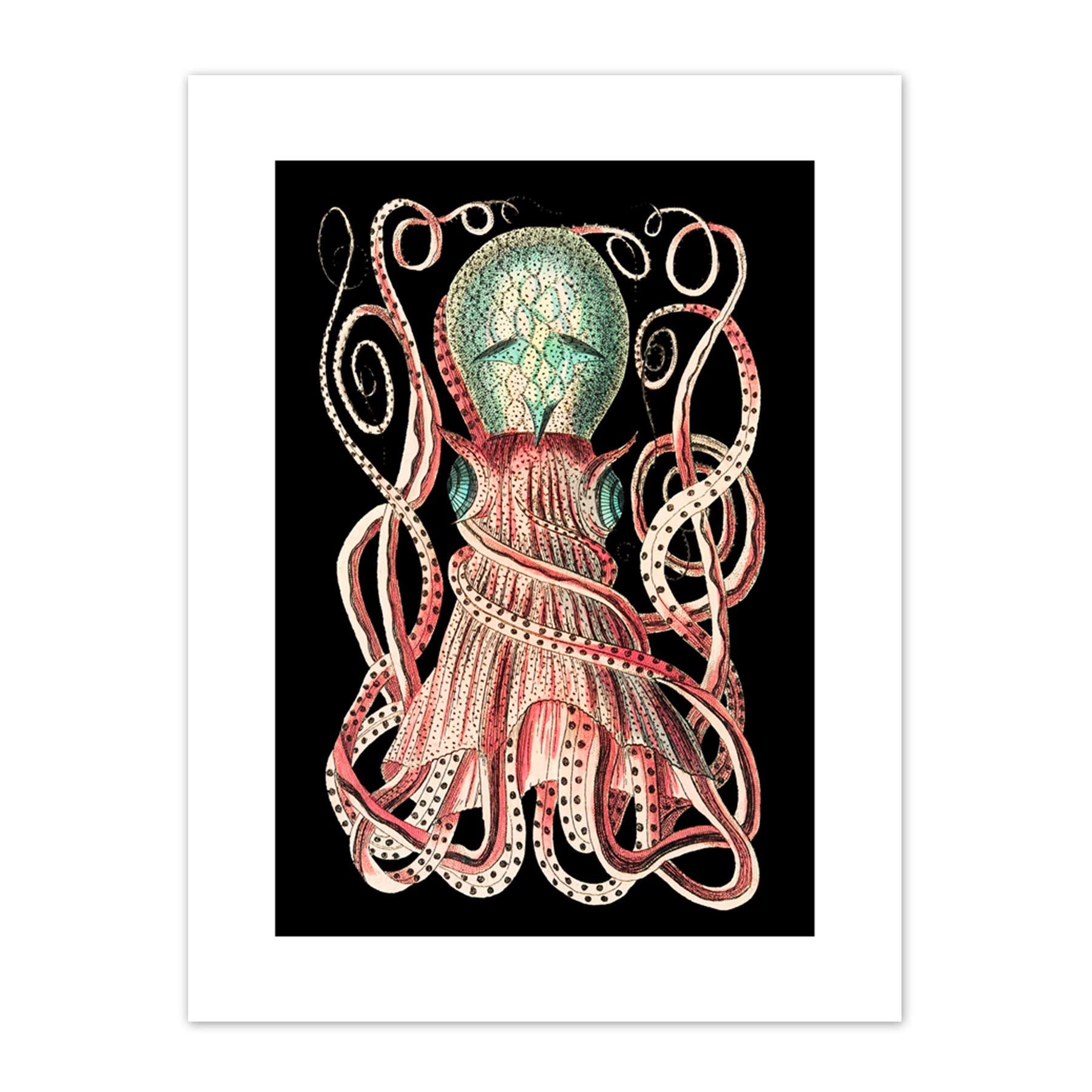Wee Blue Coo Granulated Cuttle Octopus Black Art Print Canvas Premium Wall Decor Poster