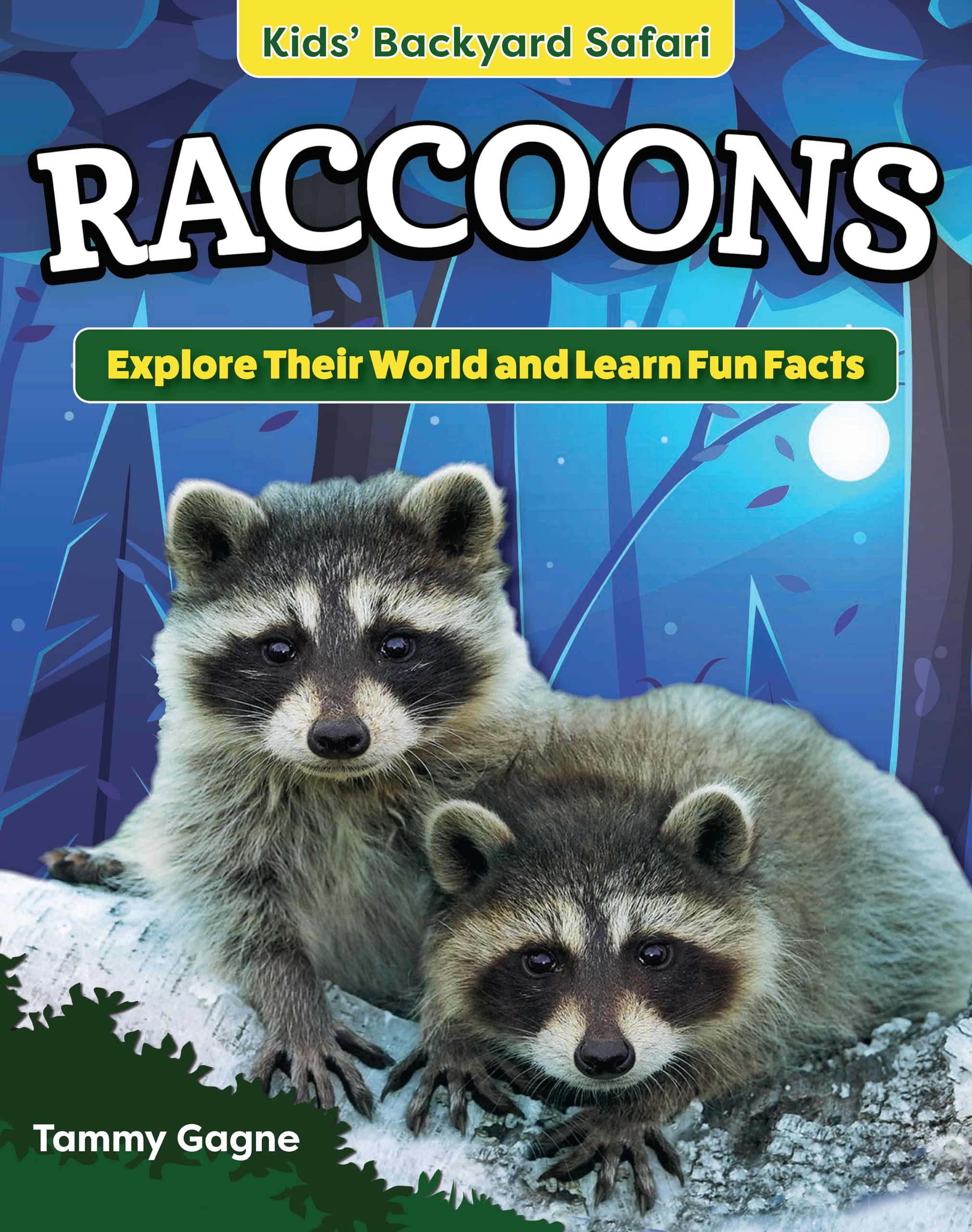 Kids' Backyard Safari: Raccoons: Explore Their World and Learn Fun Facts (Curious Fox Books) For Kids Ages 4-8, with Fun Facts and Photos of Raccoons in the Wild