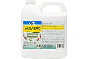 AQP169D Pond Pool Fountain Water Algaefix Algae Growth Control: Prevent Algae Problems