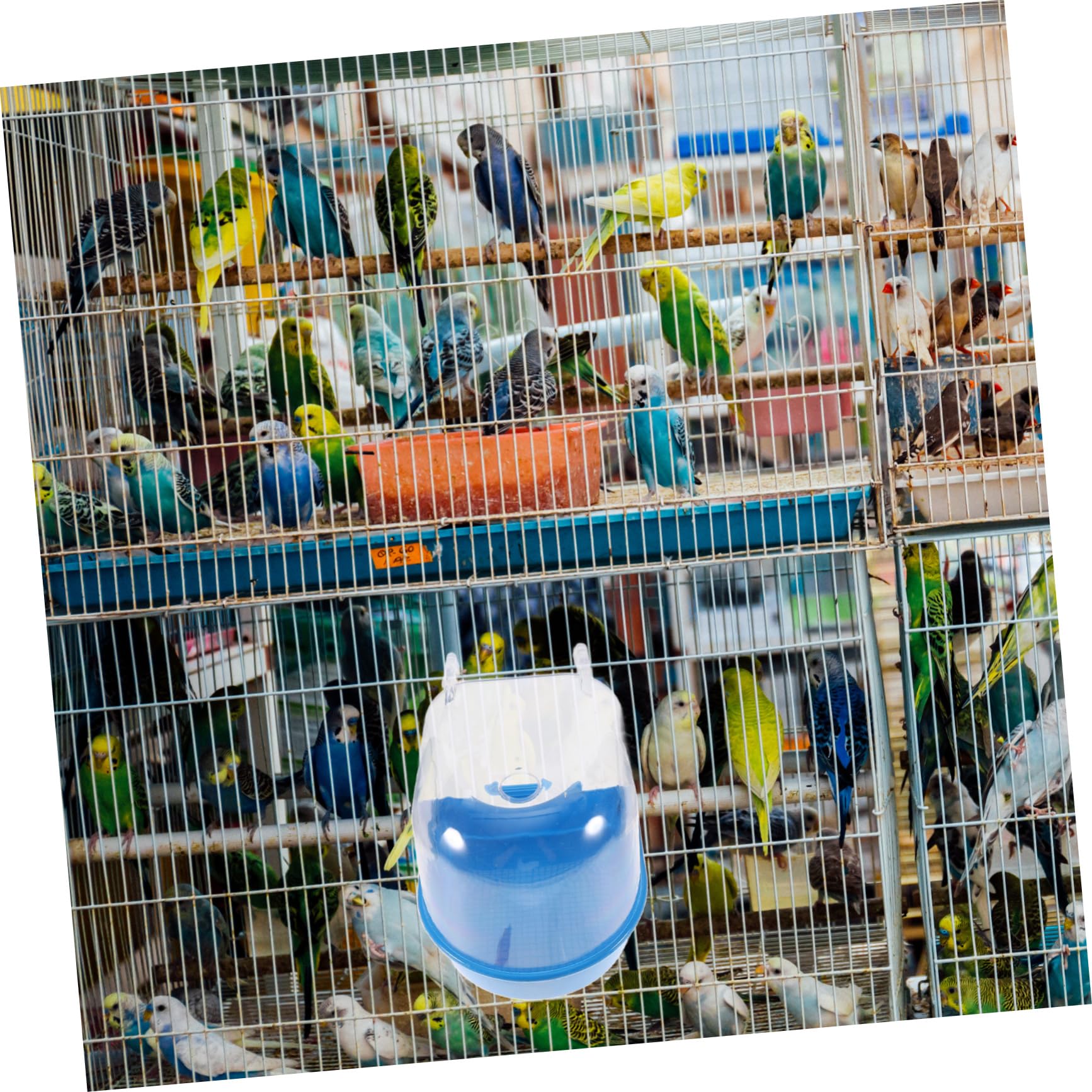 VANZACK 2pezzi Vasca da Bagno per Uccelli con Funnel Box per Bagno di Pappagalli Accessorio per Pulizia Avicola Blu Design Intelligente e Resistente per Uccelli di Piccole