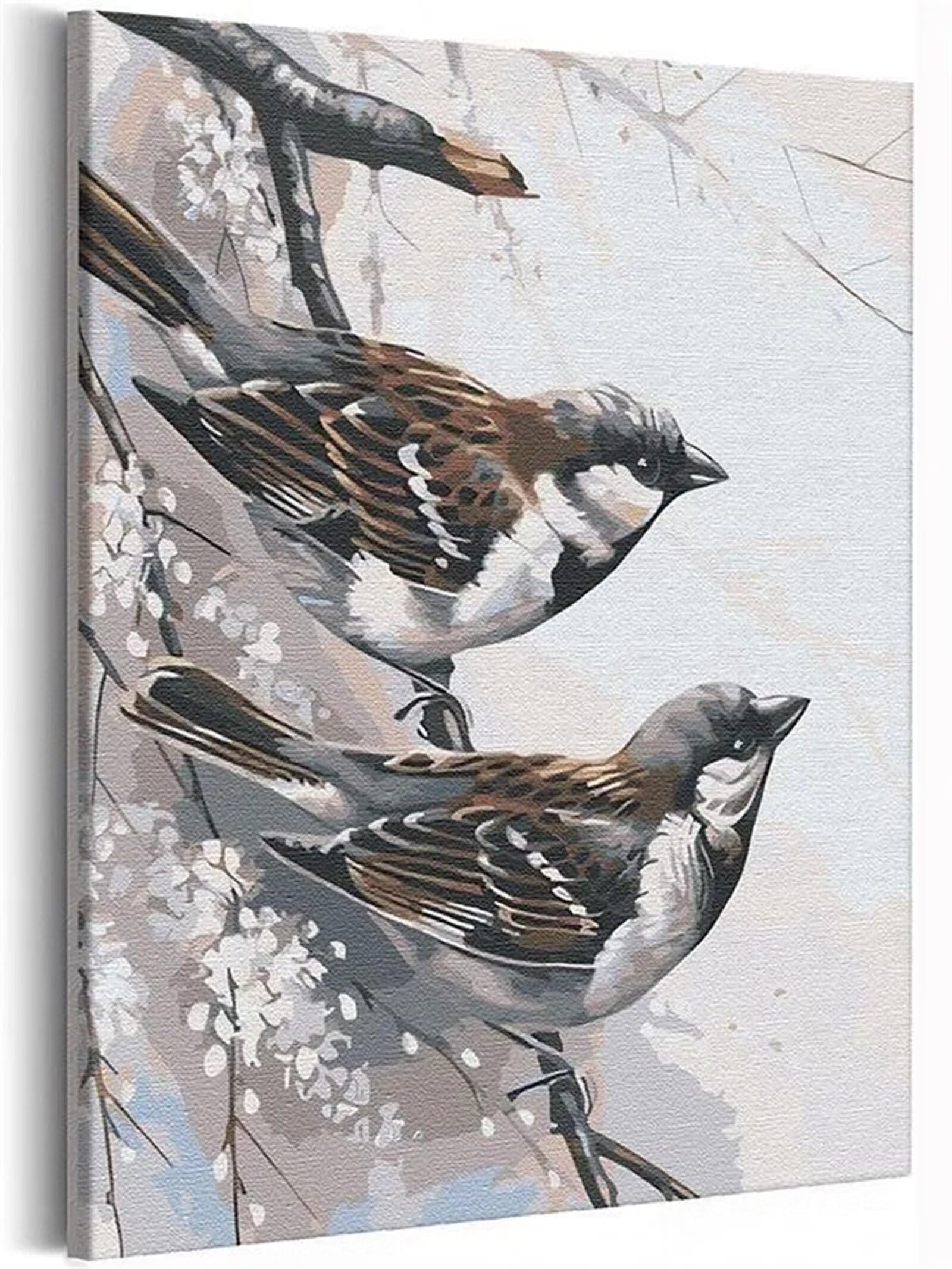 Dipingere con i Numeri Adulti,Uccelli passeri Pittura di Numeri a Olio Fai da Te kit di pittura acrilica per adulti Bambini,Con Pennelli e Colori Acrilici per casa Decora Regalo con Telaio,55x70cm