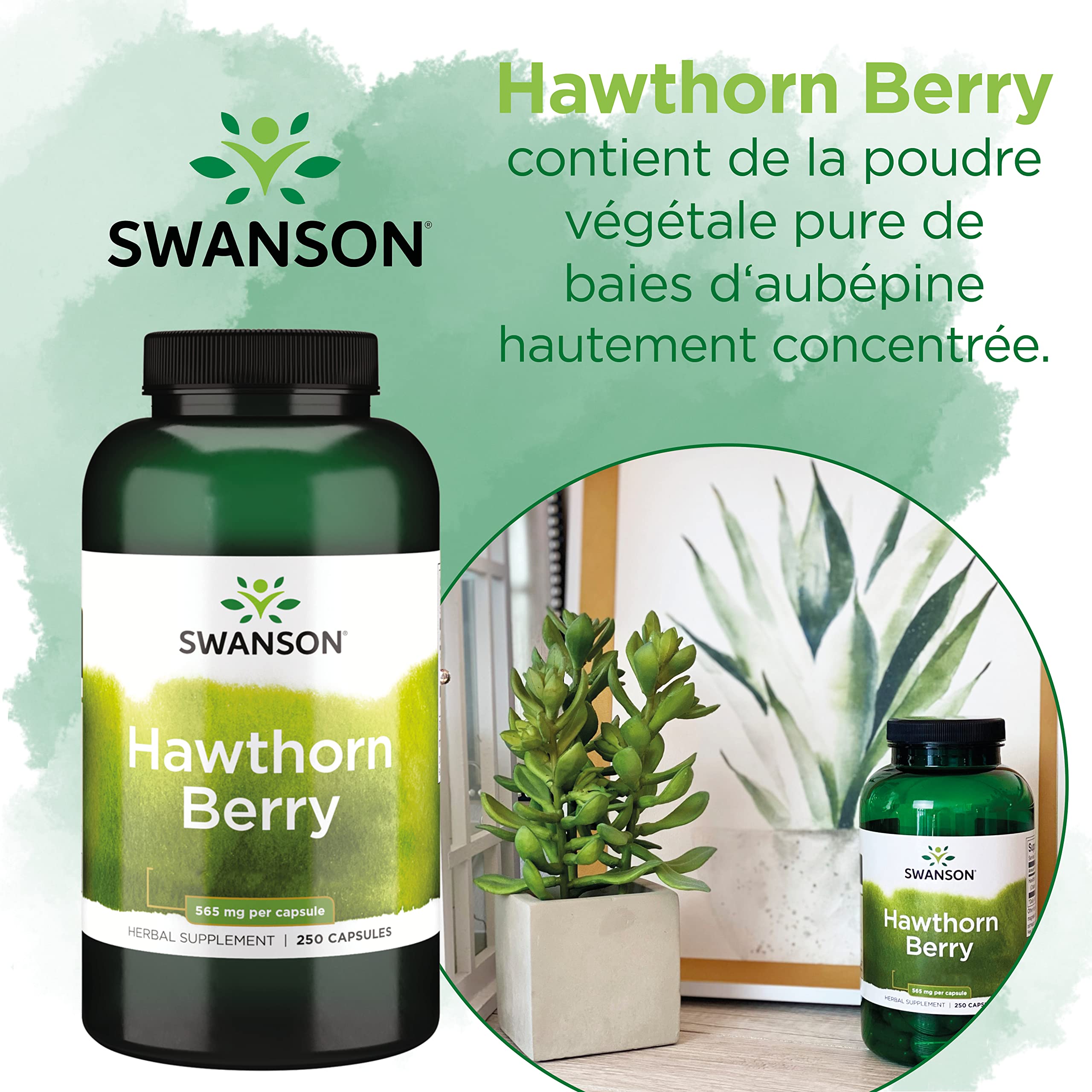 Swanson, Hawthorn Berry (Baies d'Aubépine), 565mg, 250 Capsules, Hautement Dosé, Sans Soja, Sans Gluten, Sans OGM
