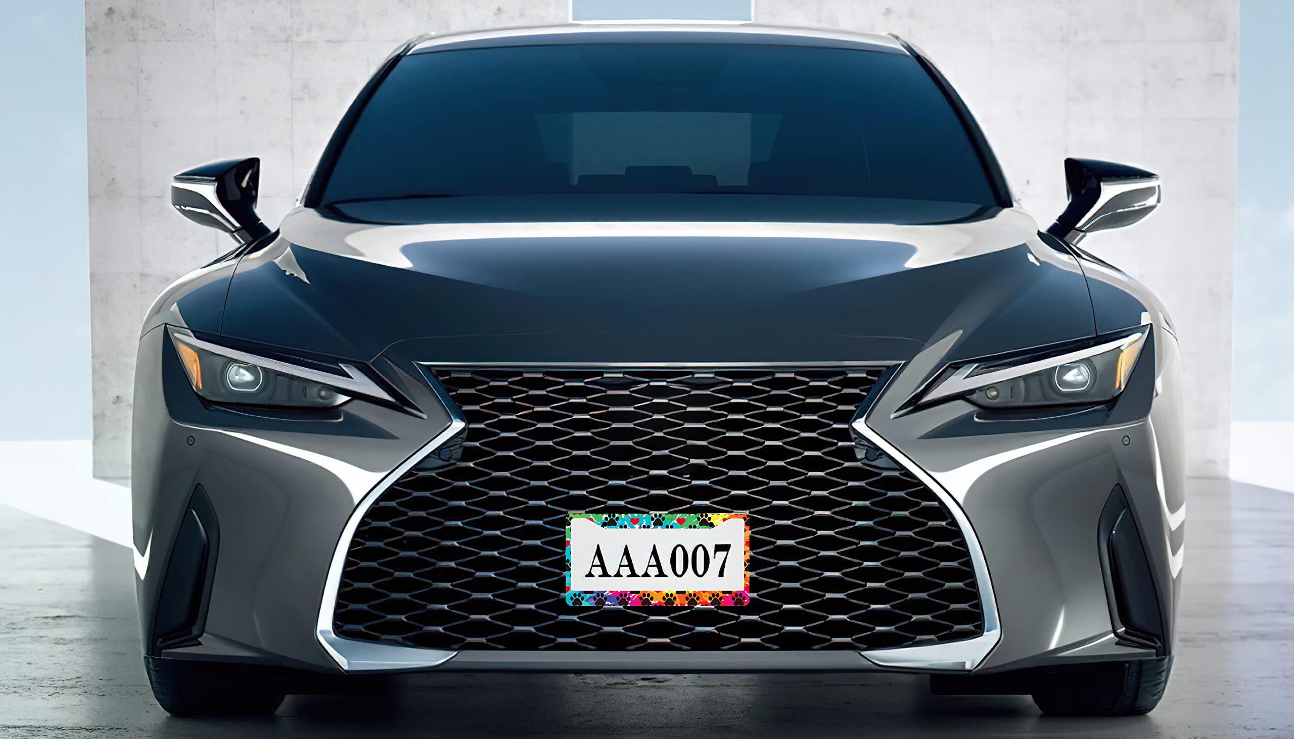 Larkverk License Plate Frame Decorative Aluminum Car Tag Cover Frames Stainless Metal License Plate Holder for Women Men Auto Accessories 2 Holes US Standard 12''x6''