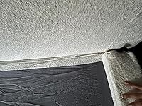 Review Image by Alejandra Alejandra