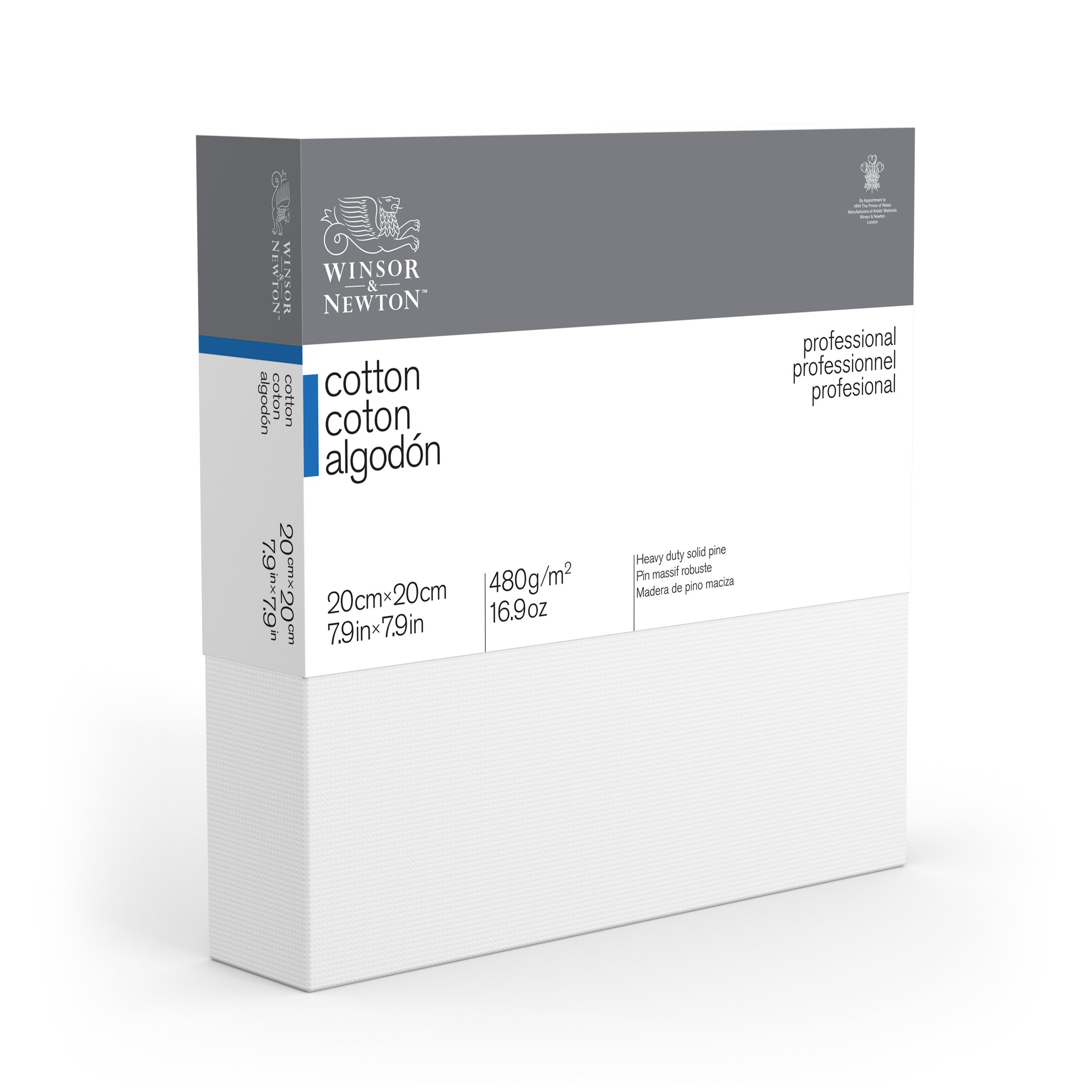 Winsor & Newton 20 x 20 cm Professional Cotton Deep Edge Canvas
