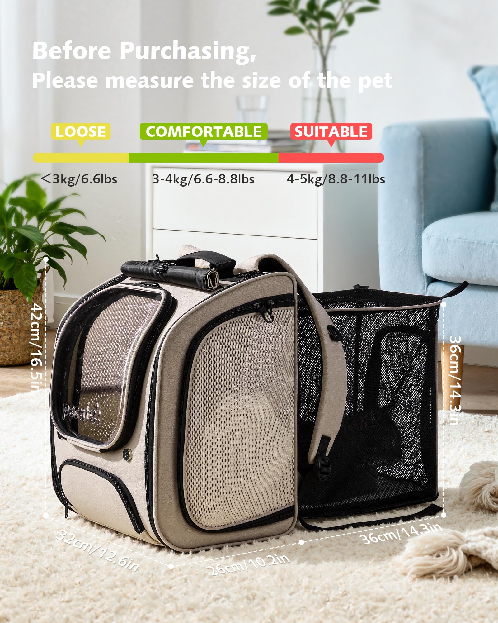 https://m.media-amazon.com/images/I/81cyxLMo7QL.jpg