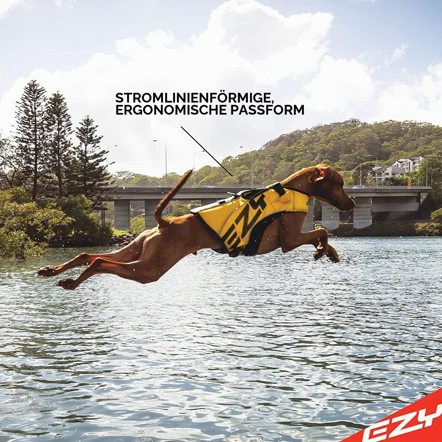 EzyDog Schwimmweste Hund – Premium Schwimmhilfe für kleine, mittlere & große Hunde – DFD X2 Boost Rettungsweste für Pool, Strand & Boot (S, Rot)