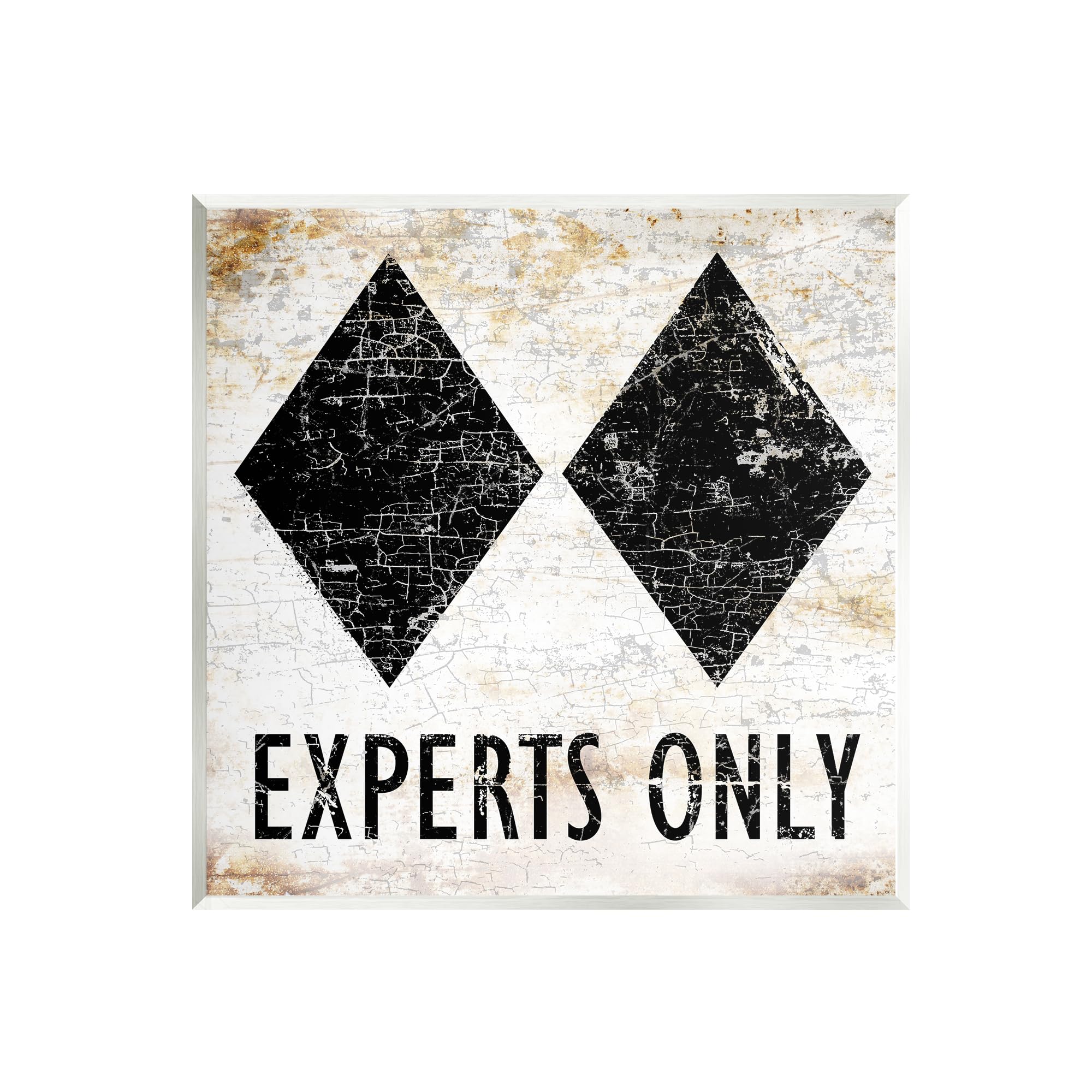 Stupell Industries Rustic Experts Only Skiing Wall Plaque Art Design by Peter Horjus