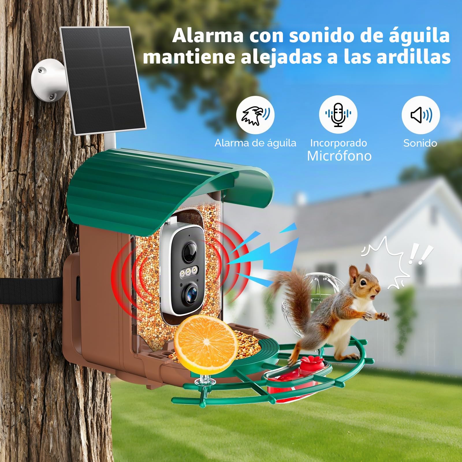 NIORSUN Comedero para pájaros con cámara 2K HD, funciona con energía solar, detección de aves AI, visión nocturna a todo color, notificación instantánea y grabación automática de vídeos de pájaros
