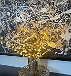 Review Image by marina marina