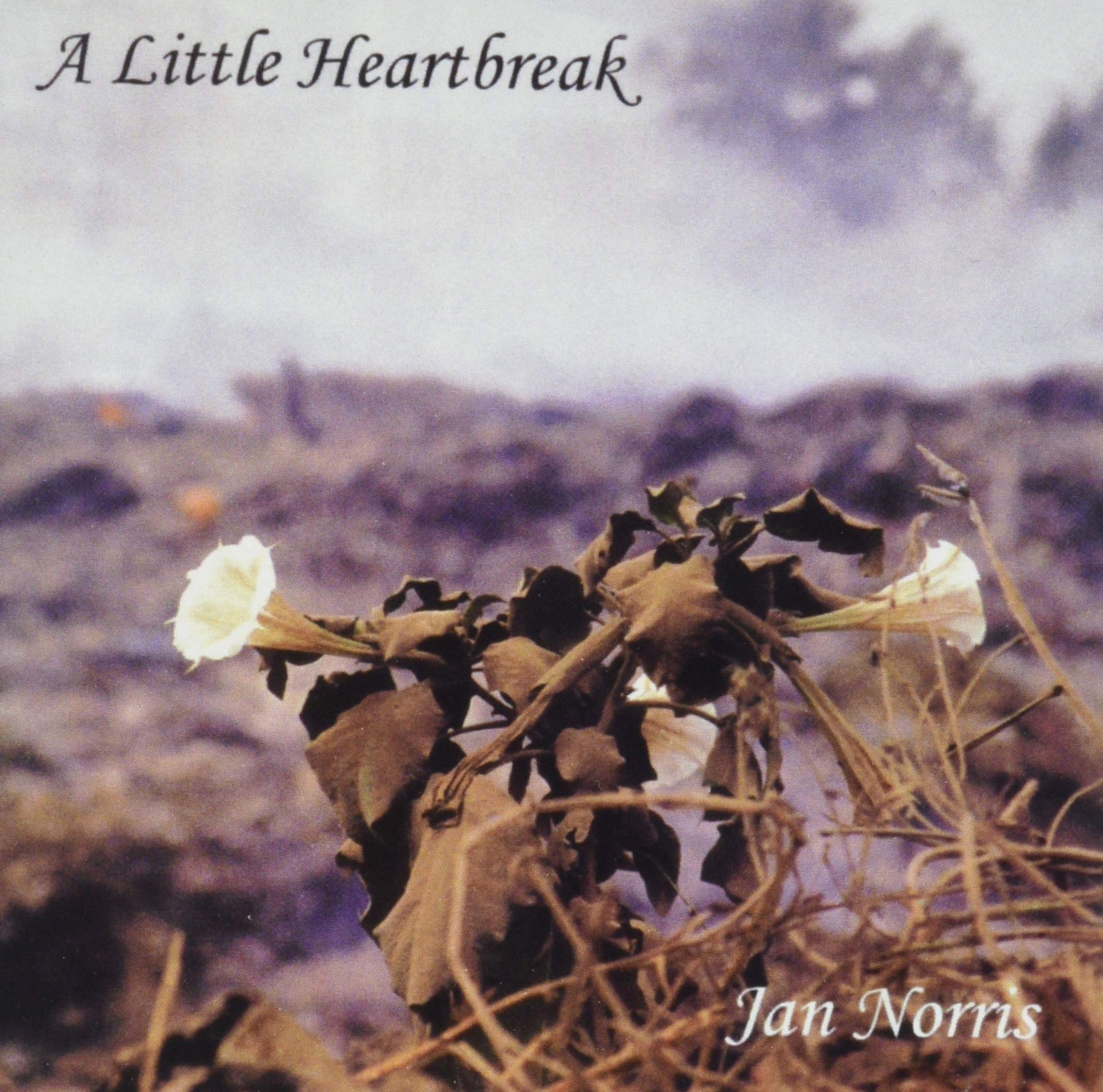 A Little Heartbreak