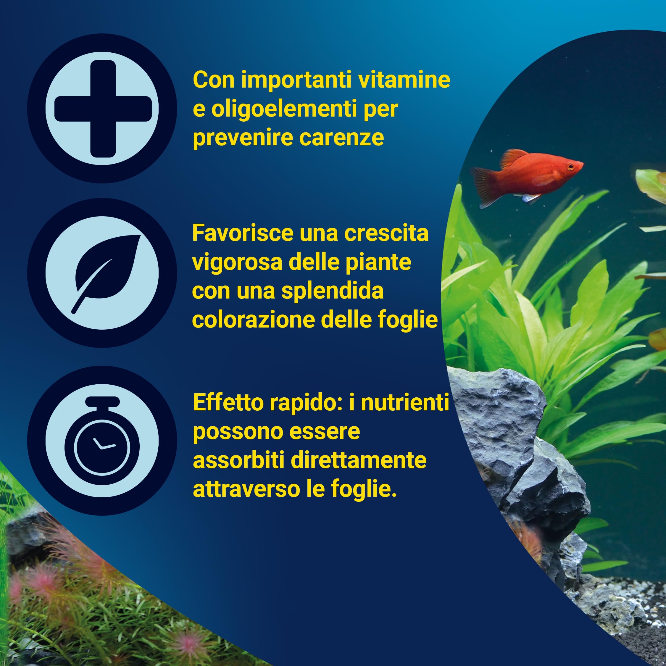 Tetra CO2 Plus - Fertilizzante liquido a base di carbonio per piante d'acquario rigogliose, flacone da 250 ml