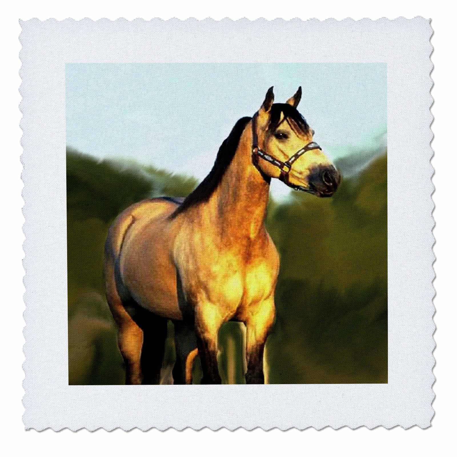 25x25 inch Quilt Square - Quarter Horse