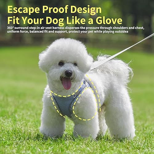 Miniatura 2 de Juego de arnés y correa suave para perro para caminar, arnés de verano con chaleco, bandas reflectantes, suministros para mascotas ultra finos y