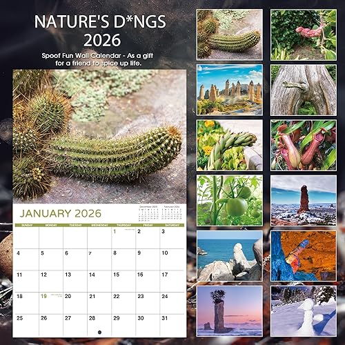 Miniatura 5 de Regalos de broma – Calendario divertido 2026, 12 meses desde enero de 2026 a diciembre de 2026, 11 x 17 pulgadas (abierto), calendario de pared con