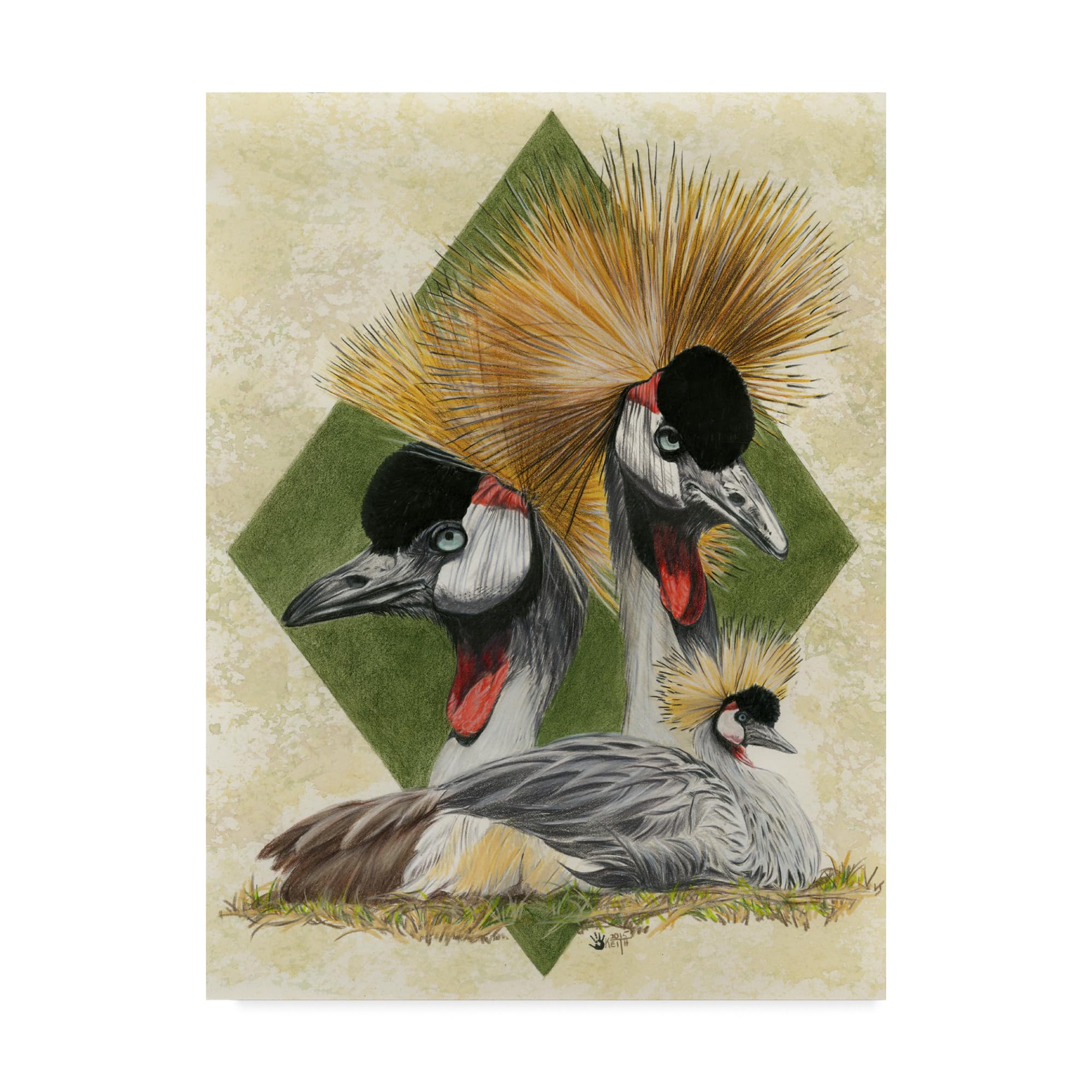 Barbara Keith 'Zenith' Canvas Art