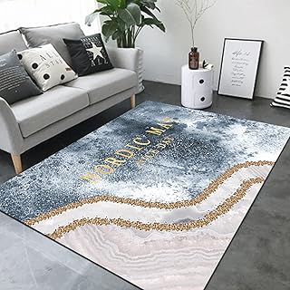NHhuai Tapis de Salon de Style Moderne résistant à la Tache de Salon Salon Simple Tapis imprimé